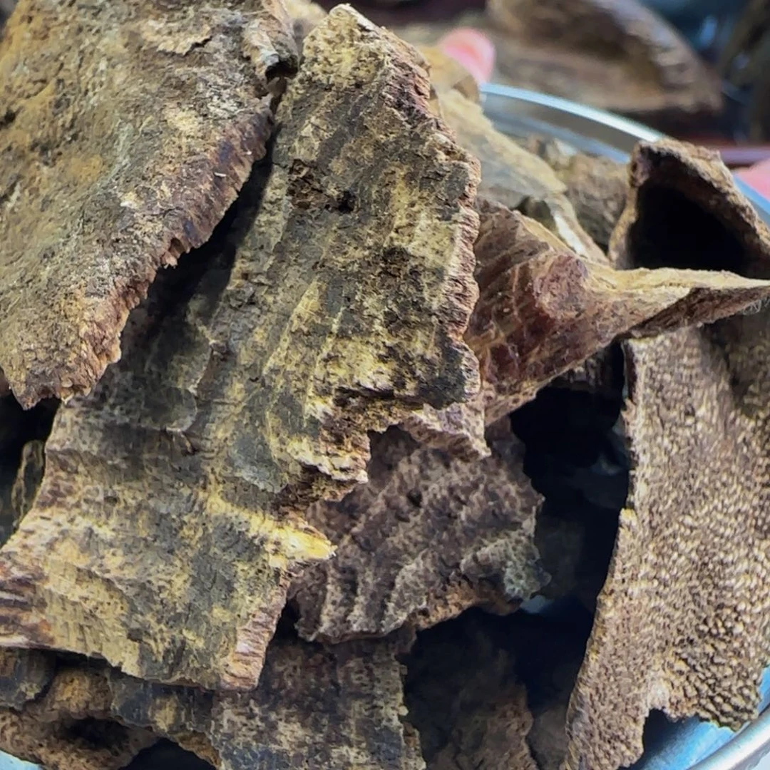 香榧木深圳铁头碎料27g