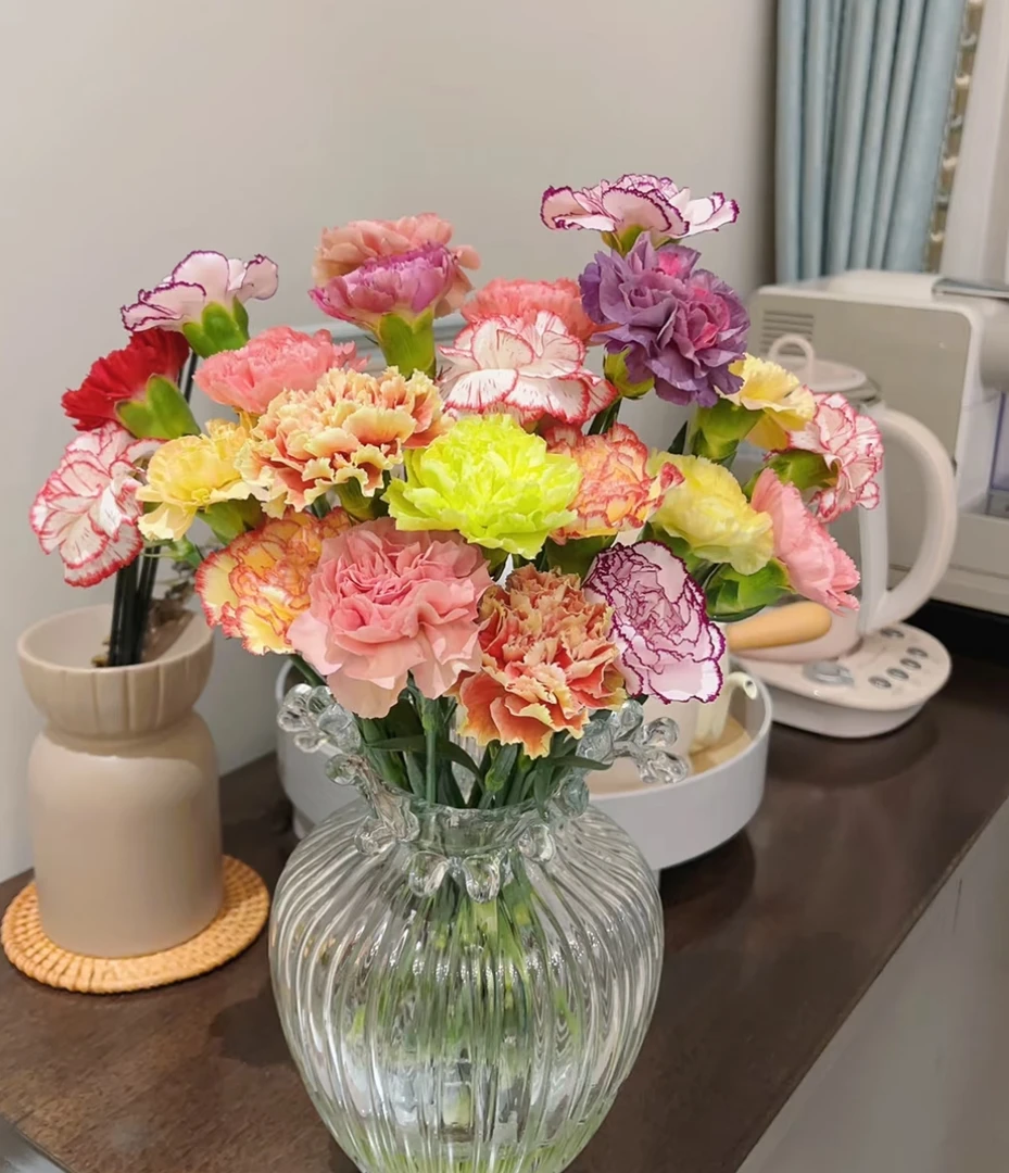 【康乃馨】【叁叁】 鲜花收到先醒花~云南鲜花批发基地直发