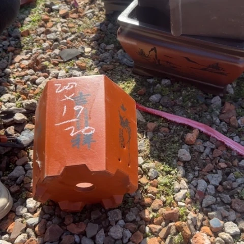 紫砂花盆紫砂花盆盆景盆栽瑕疵