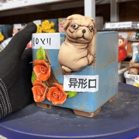 【闪购商品】