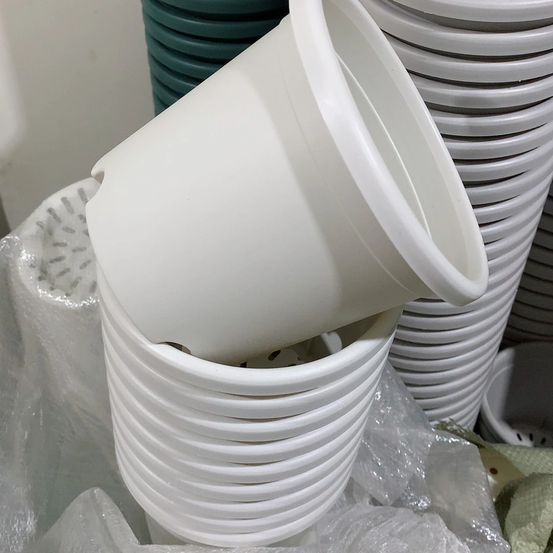 树脂四季口14白10个无托