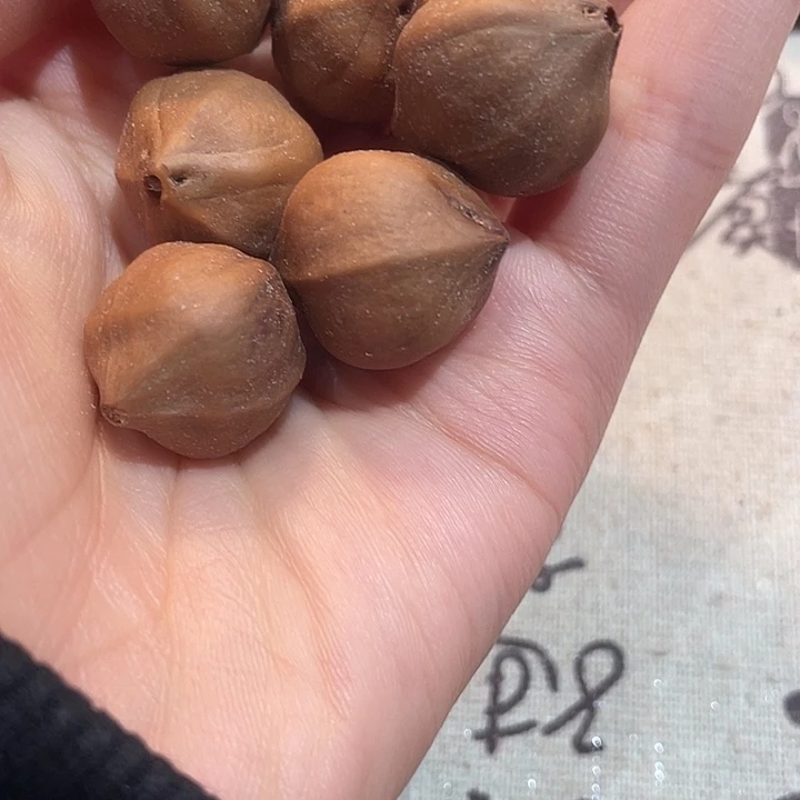 手串/手链橄榄核橄榄核蜜桃