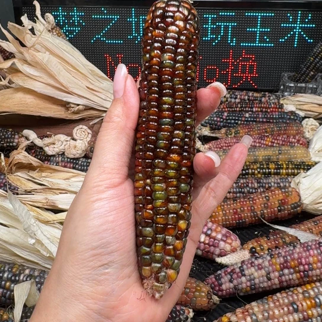 柏香籽/百香籽吊坠啊*啊