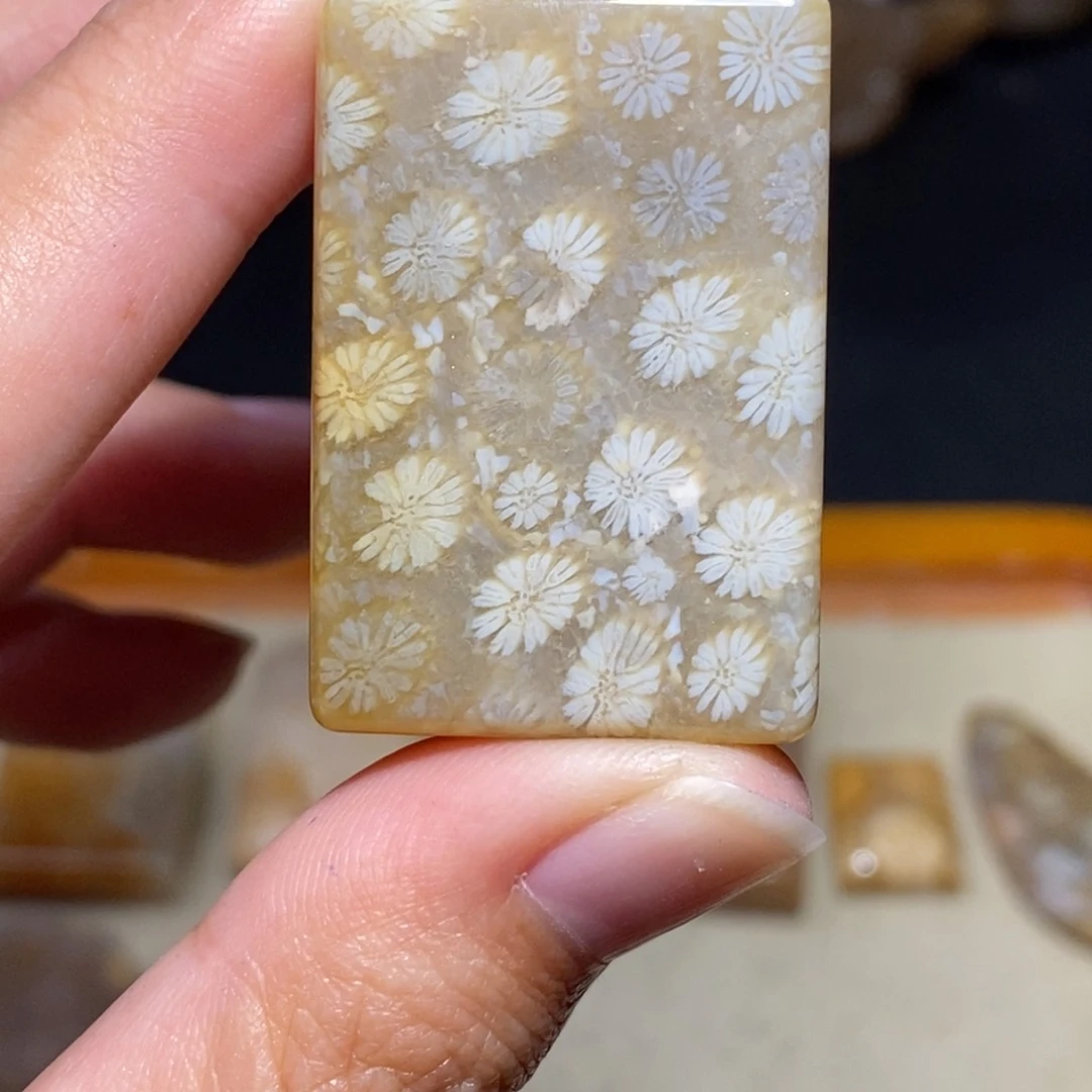 【闪购商品】硅化玉珊瑚玉未镶嵌