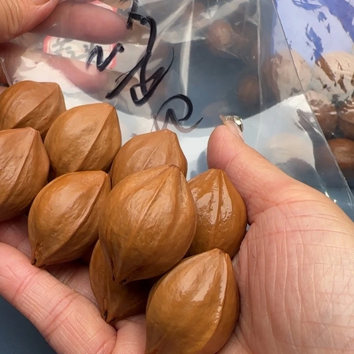 手串橄榄核橄榄核