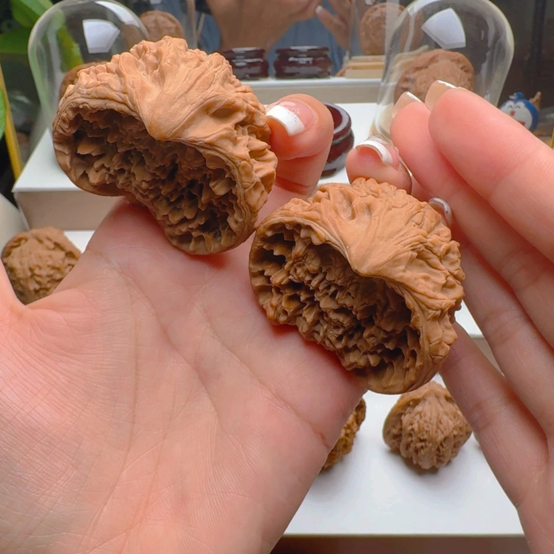 把件核桃48尺寸蛇头聚宝盆