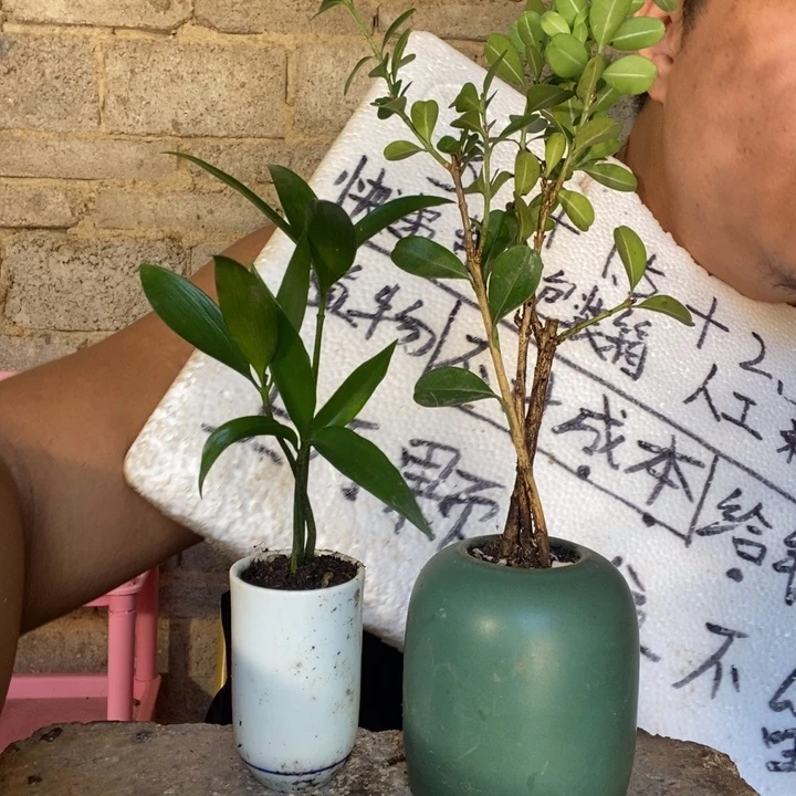 退款拉黑一物一拍8