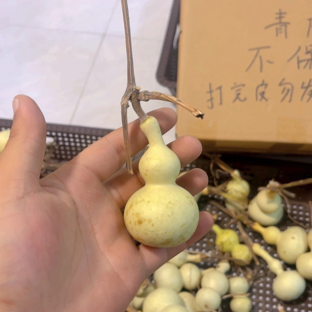 蓝***天感谢大哥支持兄弟，不保成
