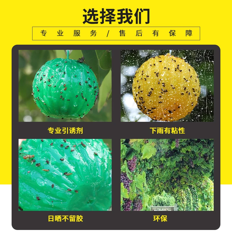 【防果蝇好物】诱蝇球粘虫球瓜果实蝇防虫粘蝇粘柑橘实蝇果蝇诱捕器