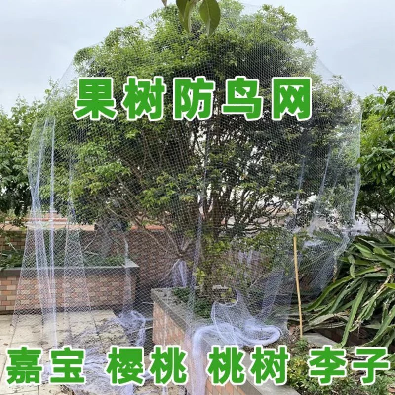 全新料果树防鸟网罩嘉宝果枇杷蓝莓果园尼龙防护网防鸟网耐用伸缩