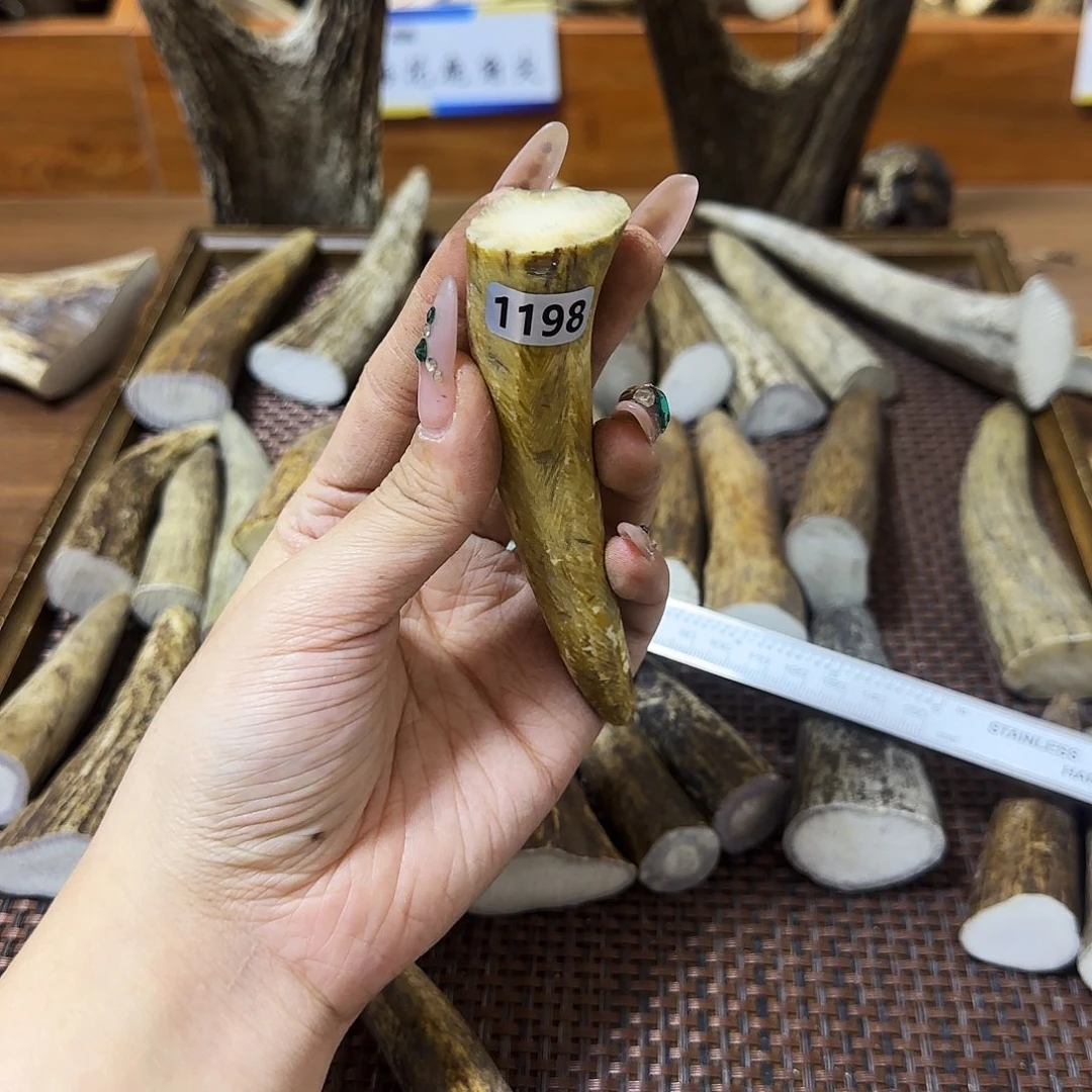 鹿骨手串/手链1198角尖