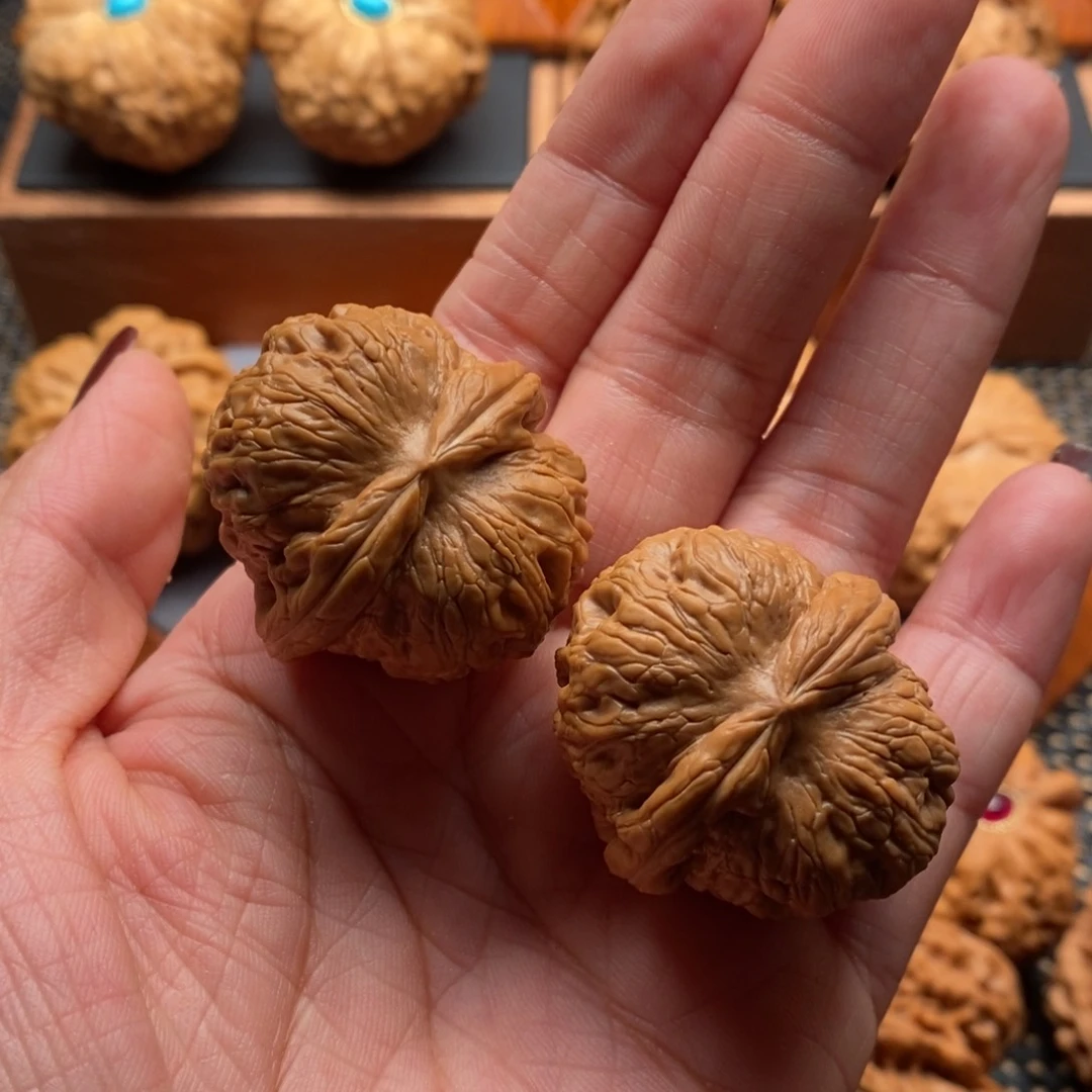 文玩核桃把件在*上元宝