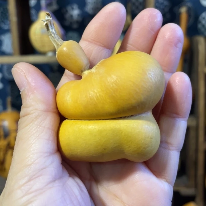 特价福利不退不换