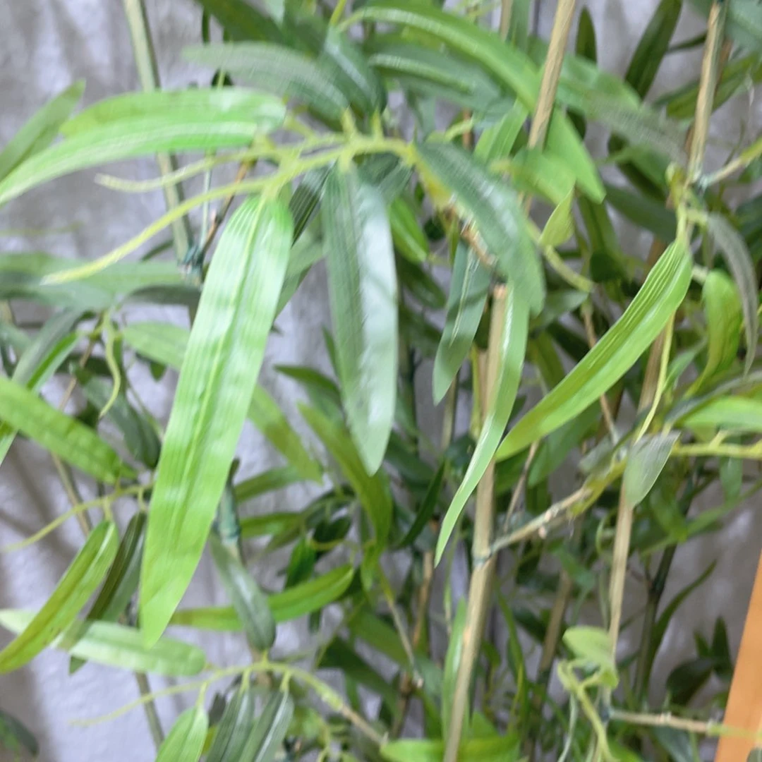 茶壶紫砂交个朋友，直接拍……