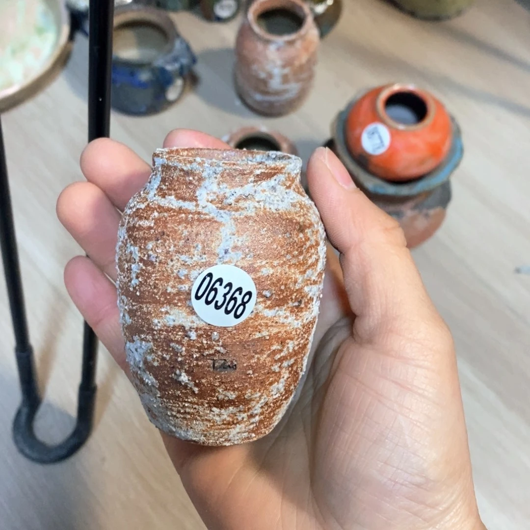 周**周拍5送一个小礼物花盆