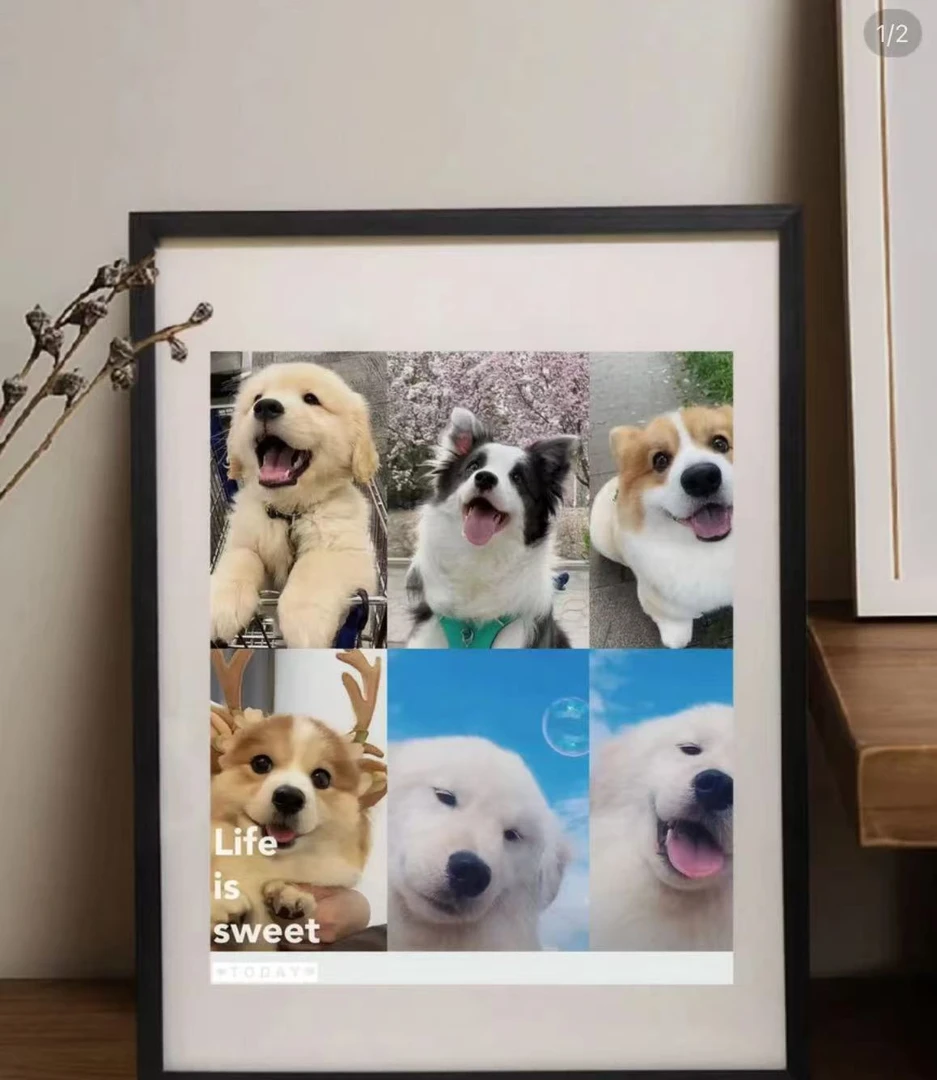 宠物纪念相册狗狗专属收藏精美设计珍贵回忆