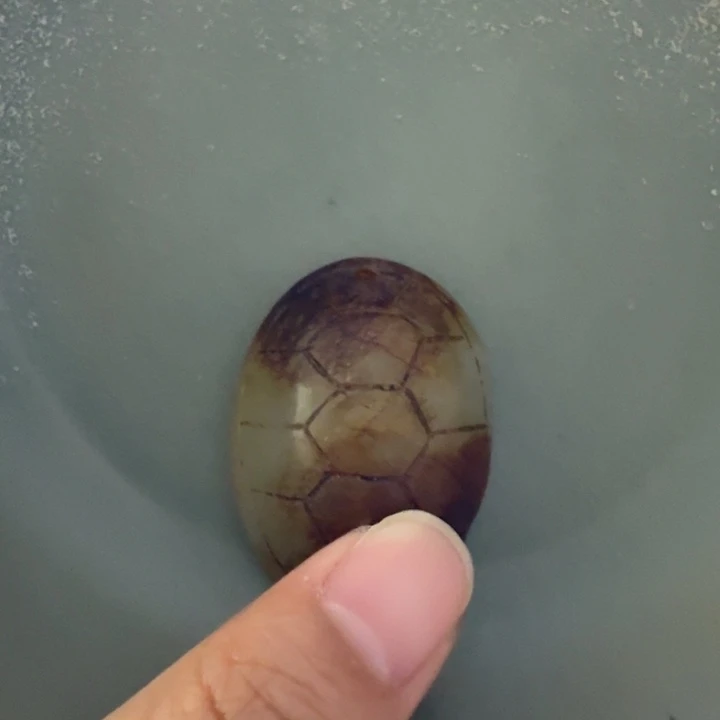 瓷片扮**虎花开富贵大家庭