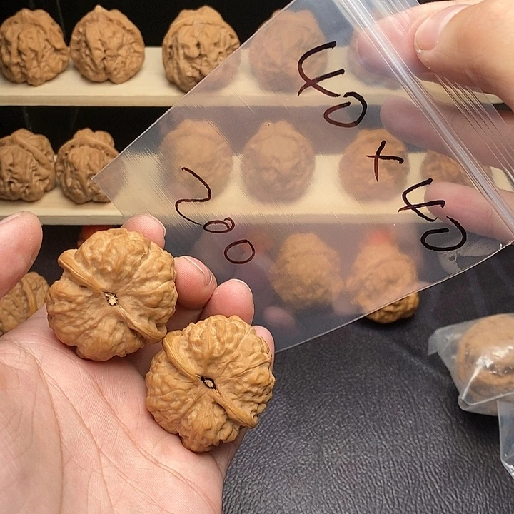 1***y核桃蛤蟆头40尺40肚