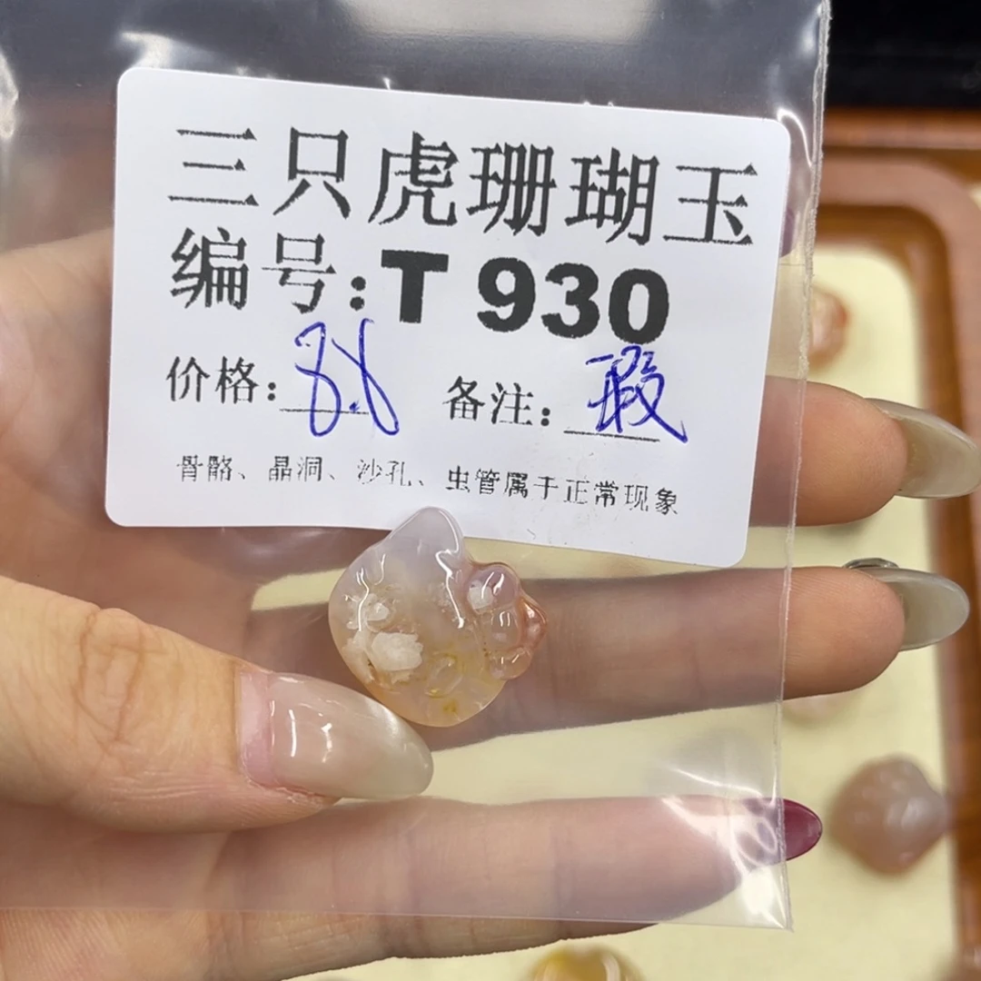 豆***～硅化珊瑚（珊瑚玉）h未镶嵌