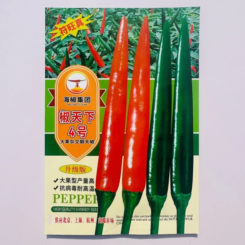 椒天下4号辣椒籽大号海椒椒天下朝天椒种子把子长大果型朝天椒籽