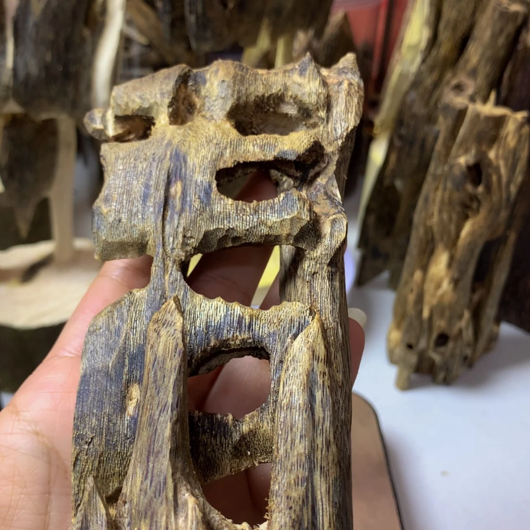 沉香沉香碎屑油叶子虫漏78克