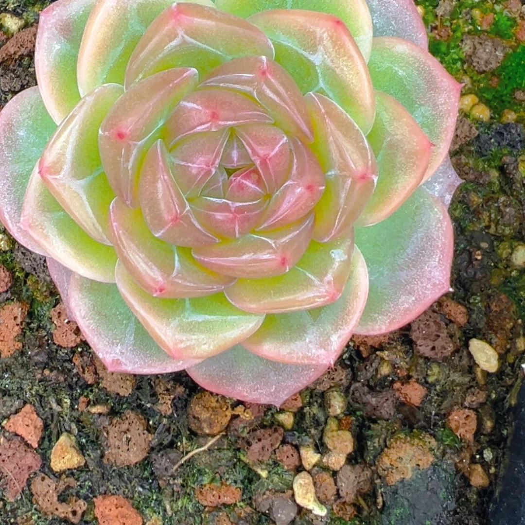 阳****2222222222222222