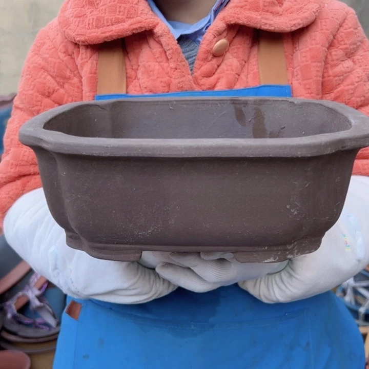 30海棠花盆花盆花盆花盆
