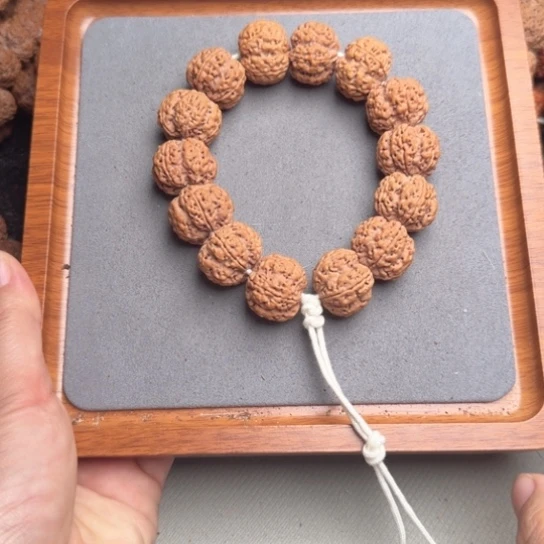 菩提10号尼泊尔大金刚22梅花双龙