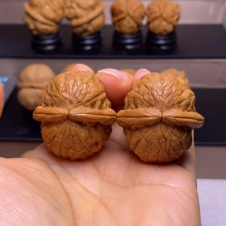 杨***生文玩核桃把件金龟玉甲8