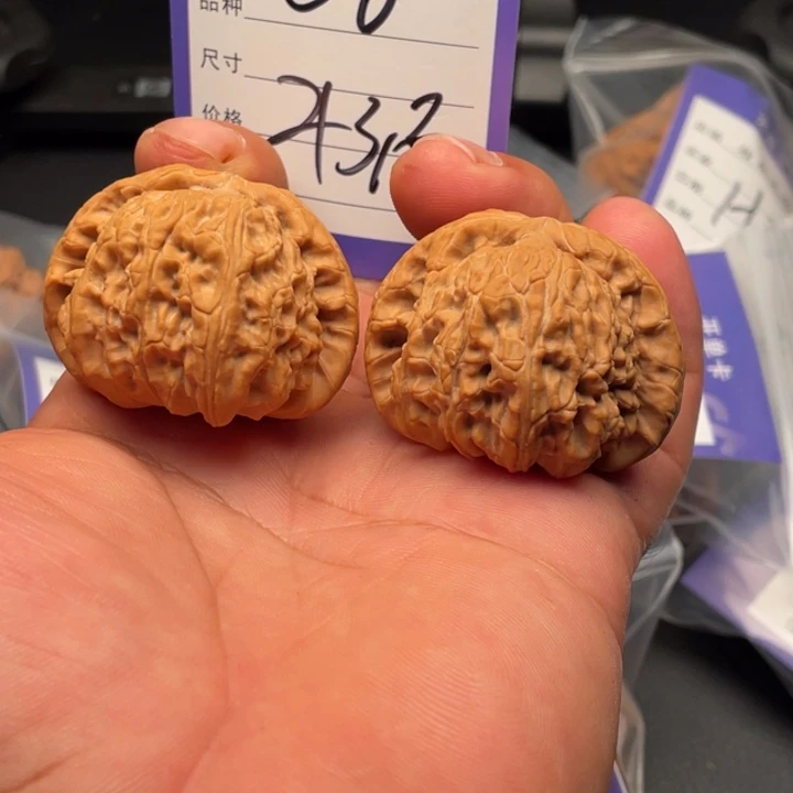 核桃白狮子43尺寸