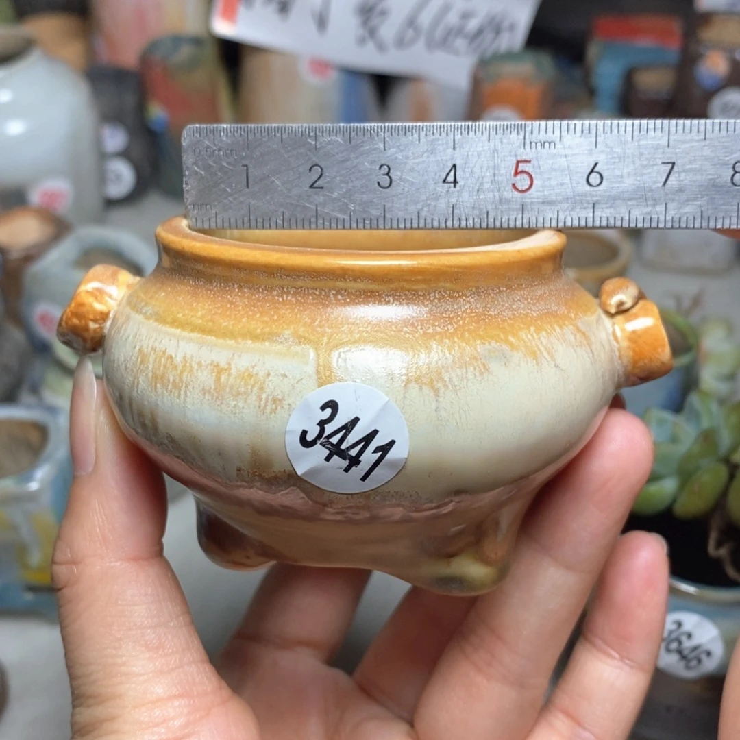 拍5送一个小礼物