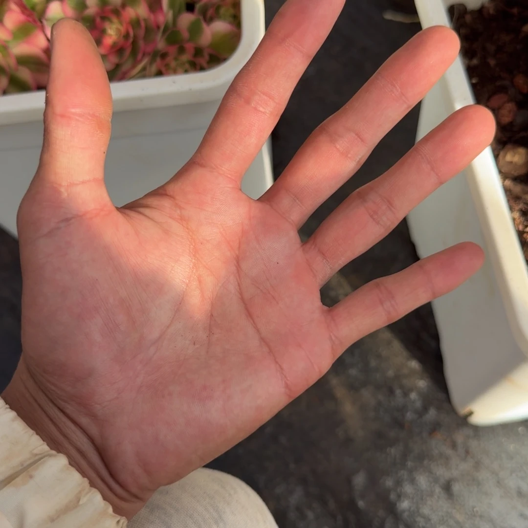 野***人无花朵vvvvvvvvcccccccccv