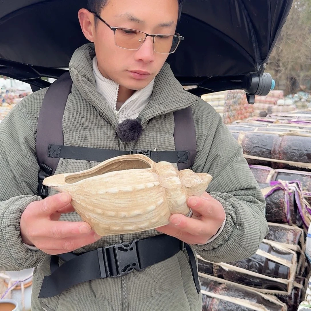 紫砂花盆瑕疵一个海螺白色