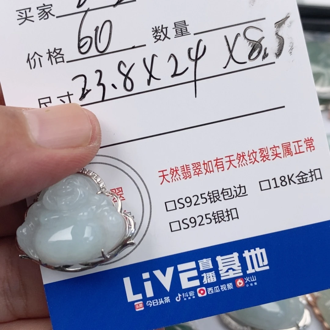 落***翡翠银S925镶嵌颈饰