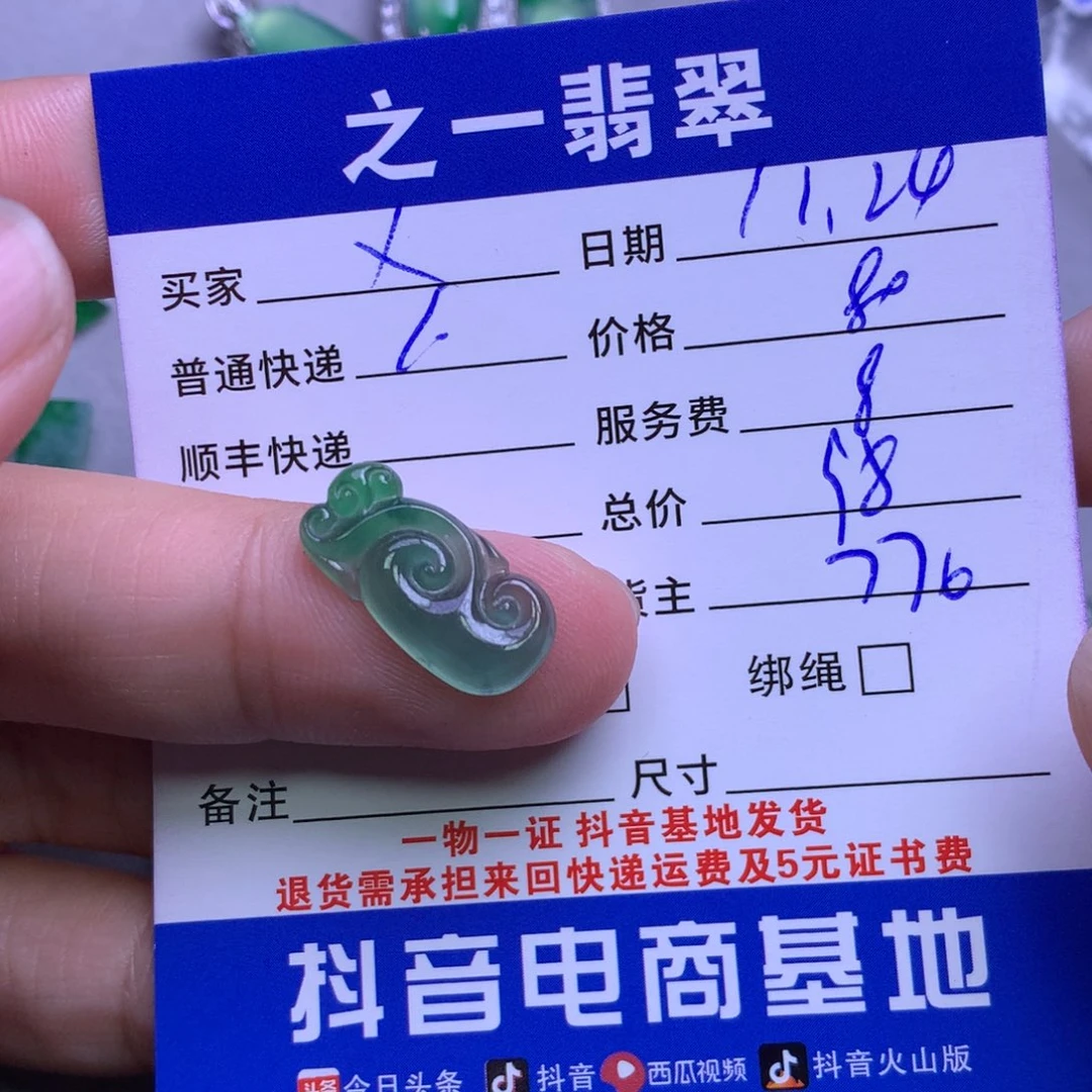 颈饰未镶嵌翡翠x**x