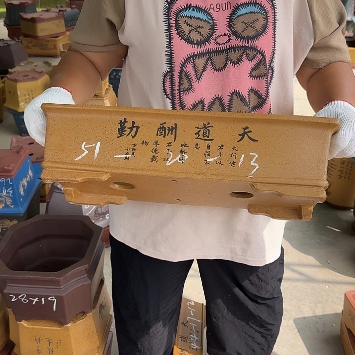 是因为她太喜欢了所以