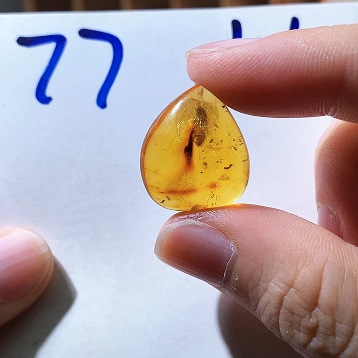 定制琥珀琥珀虫珀甲虫