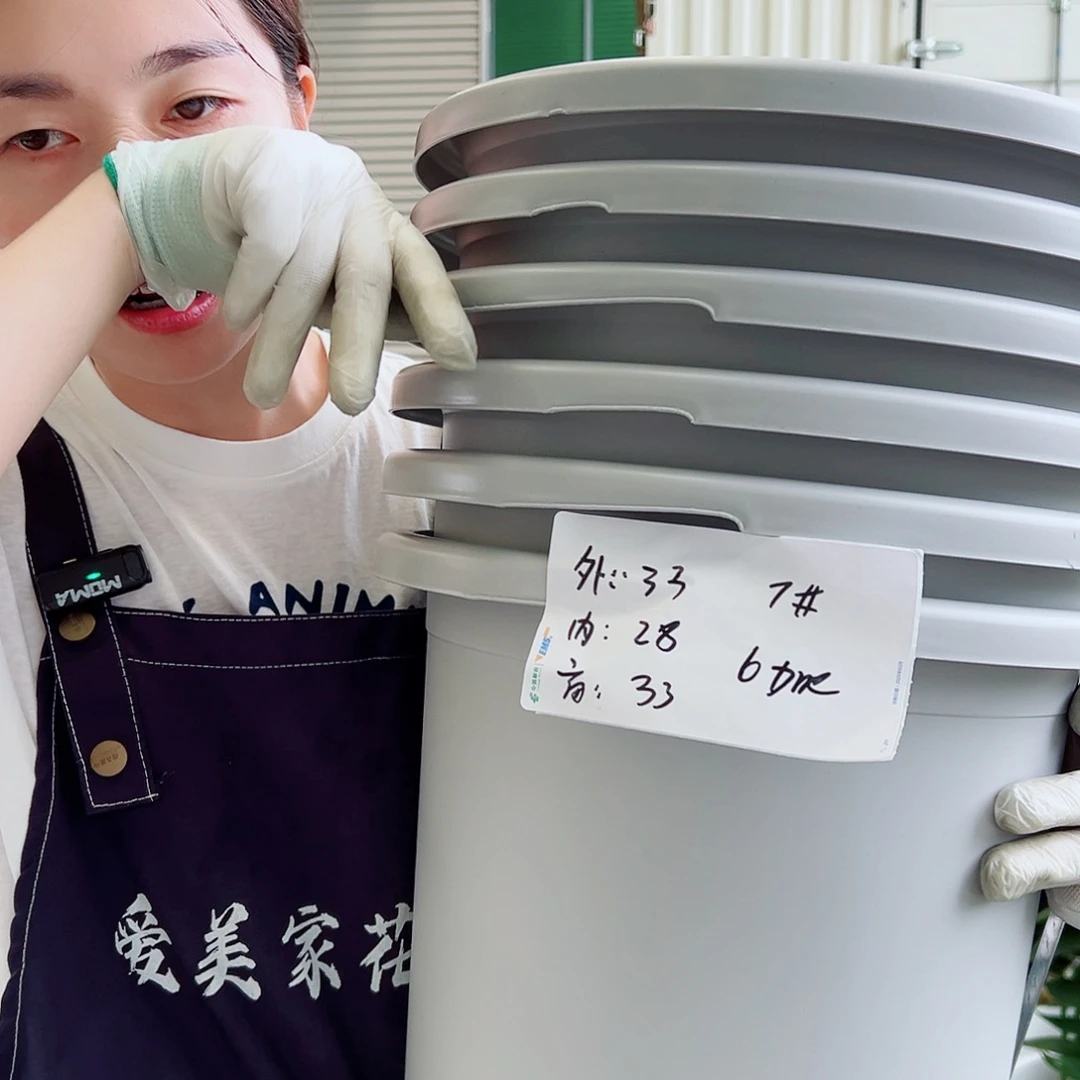 瑕疵四季盆7#灰白6个无托