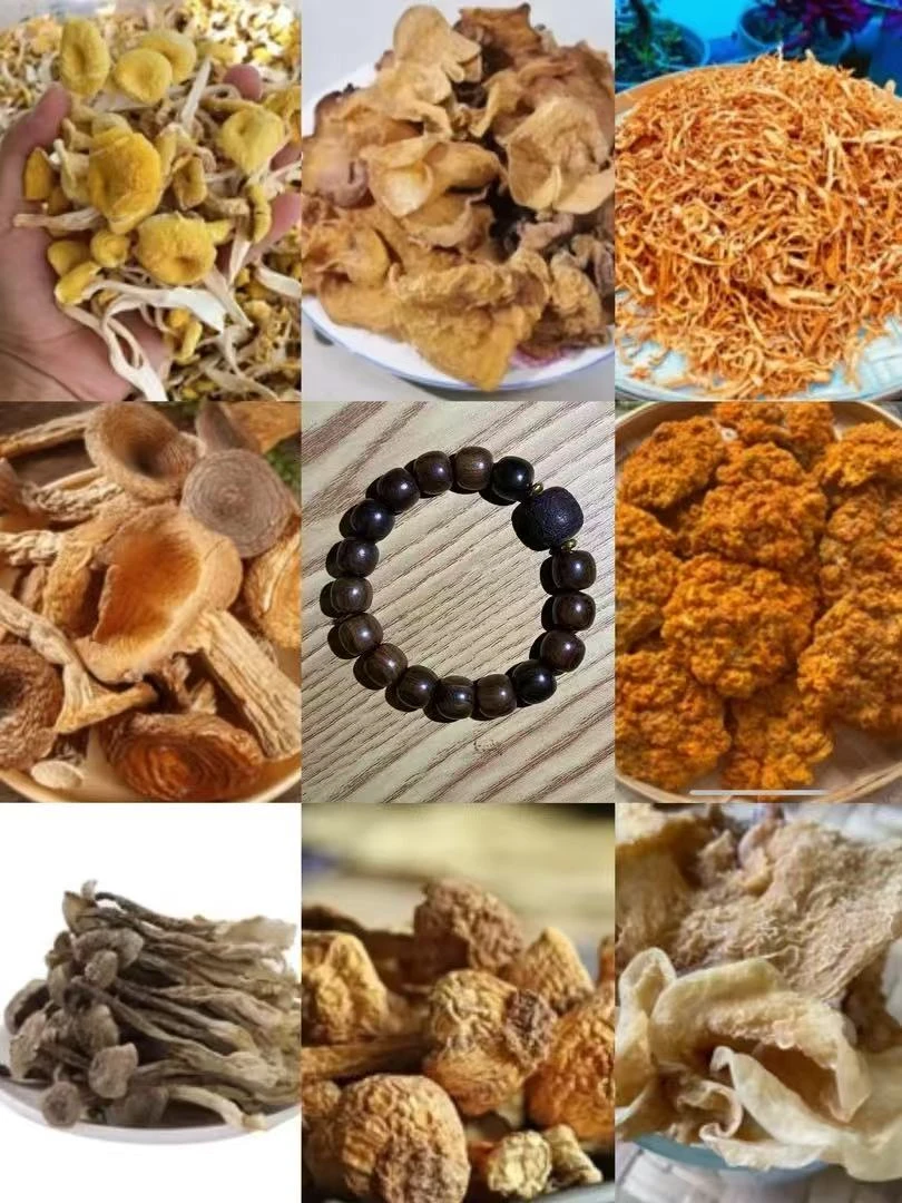 【莎莎专属山货】191号菇18g起