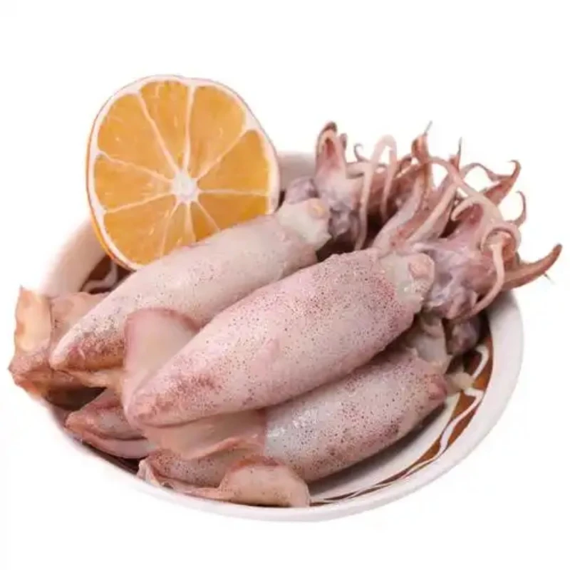 单冻海兔 约450g/份