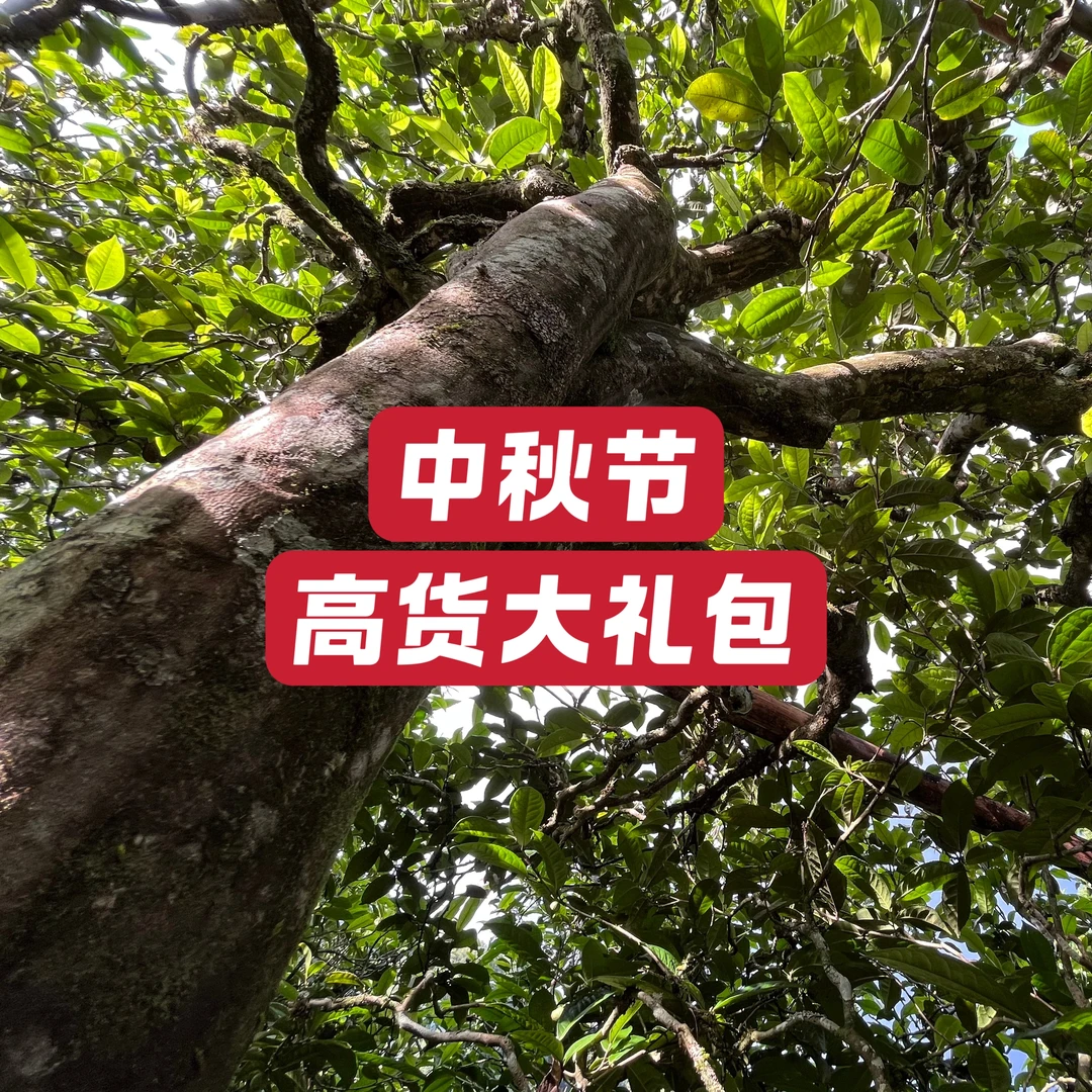 中秋高货礼包【冰岛老寨69号】普洱生茶