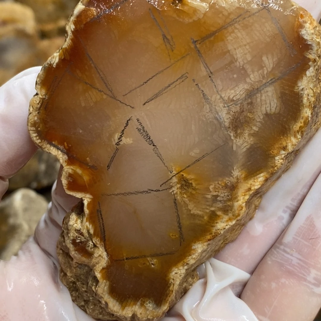 【闪购商品】硅化玉颈饰未镶嵌