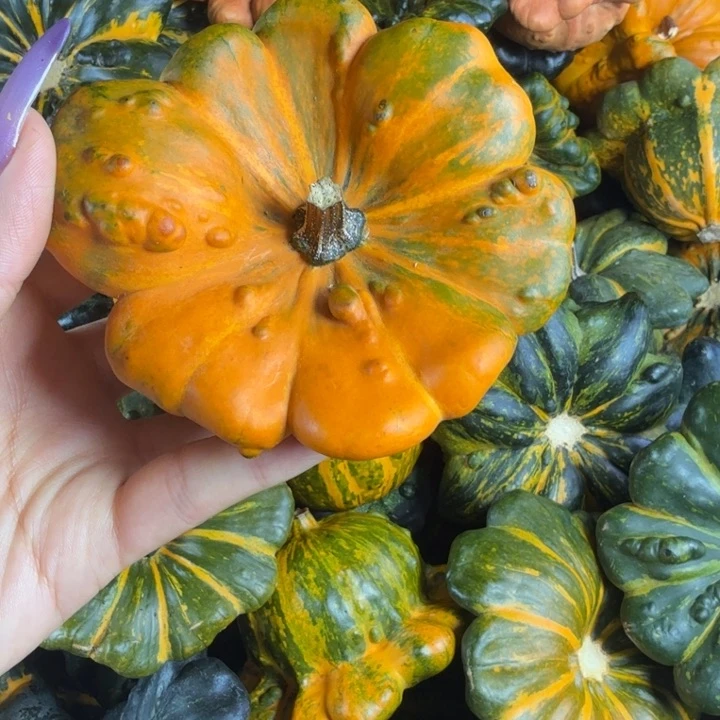 雁***潭饿哦饿哦饿哦饿哦饿哦