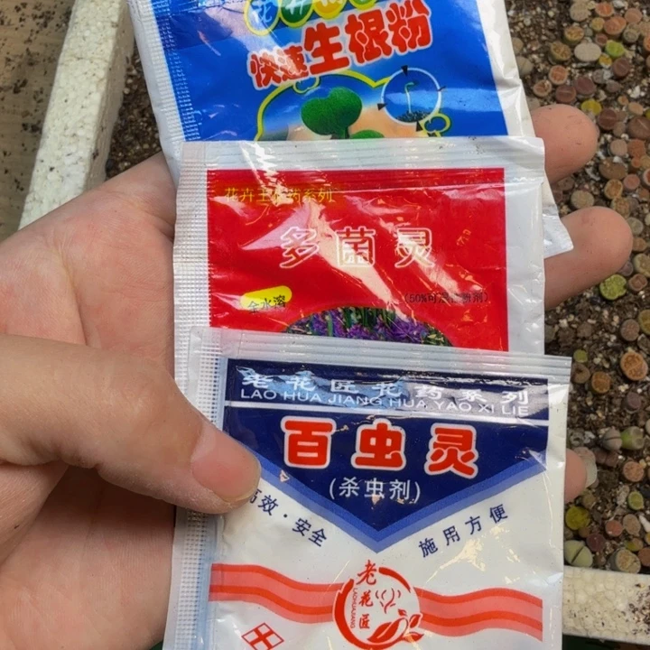 多菌灵百虫清生根粉各一