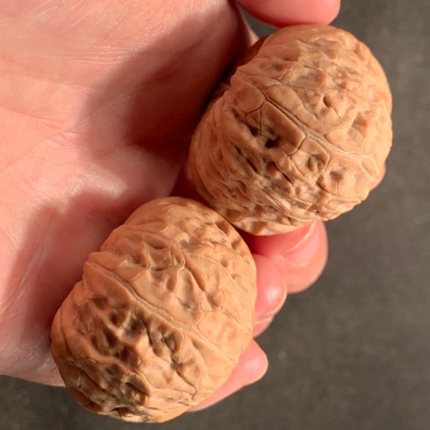 43.5肉球南瓜墩狮子头