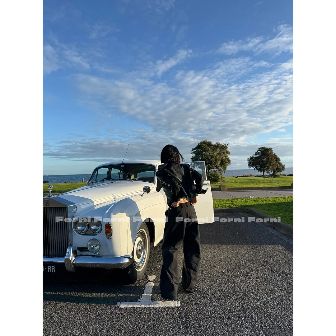 FORNI 职场一键式 2025秋季高支新疆棉通勤风低腰长裤