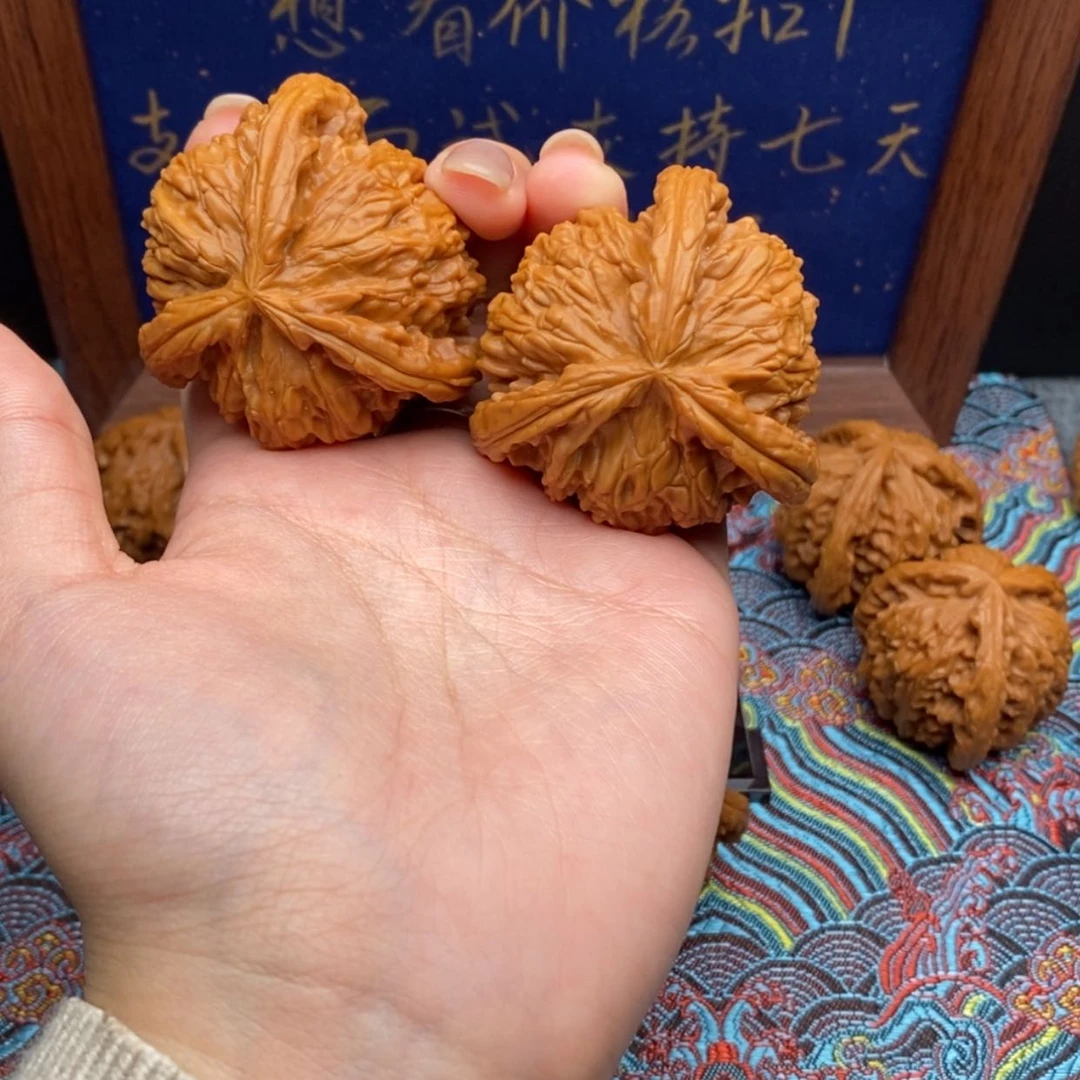 【闪购商品】丘*壑白狮
