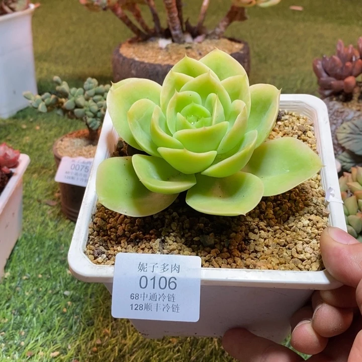 0106啊啊啊啊啊啊啊啊啊啊