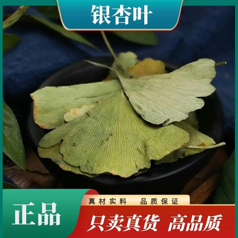 野生【银杏叶】新叶白果叶银杏树叶晒干无硫滋补益母草原料泡茶