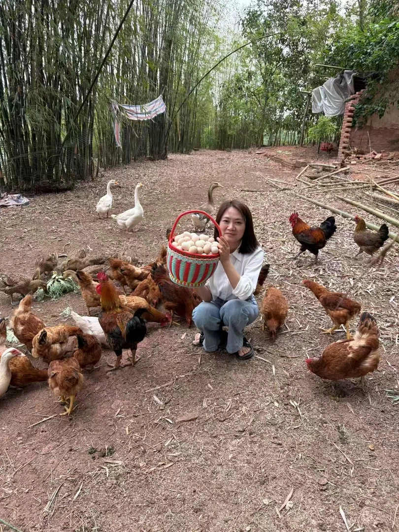 王书记专属-正宗农村散养土鸡蛋五谷喂养无激无抗重2.6斤——4.5斤